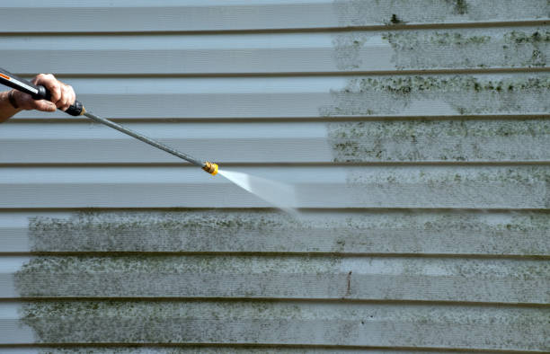 Best Commercial Mold Removal  in Forestde, AL