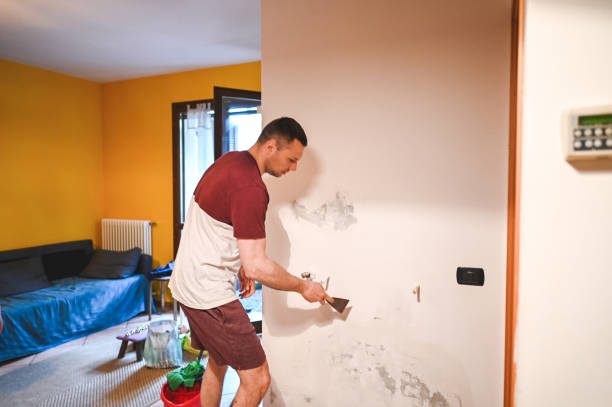 Best Mold Removal Specialists  in Forestde, AL